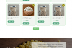Built a Global E-Commerce Site for Gustosa Foods